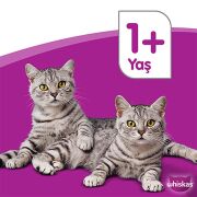 Whiskas Pouch Sos Içinde Somonlu Yetişkin Kedi Konservesi 85 gr x 28
