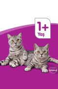 Whiskas Somon Balıklı Pouch Yaş Kedi Maması 85 gr x 24 Adet