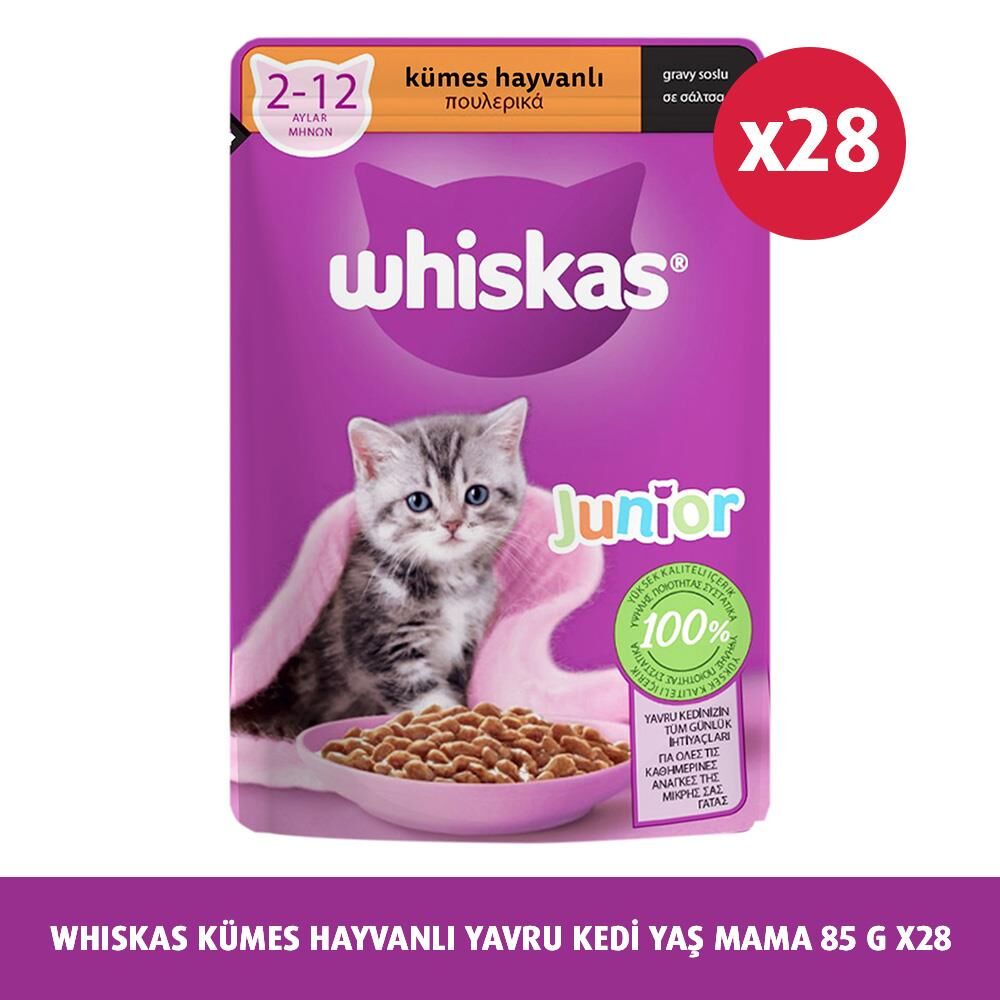 Whiskas Pouch Yavru Kümes Hayvanlı Kedi Maması 85 gr x 28