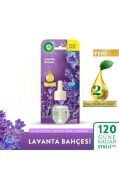 Air Wick Elektrikli Oda Kokusu Yedek Şişe Lavanta Bahçesi 19 ml