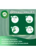 Air Wick Elektrikli Oda Kokusu Yedek Şişe Lavanta Bahçesi 6x19 ML