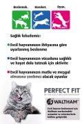 Perfect Fit Active Yetişkin Sığırlı Kedi Kuru Mama 1.4 Kg