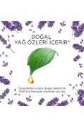 Air Wick Elektrikli Oda Kokusu Yedek Şişe Lavanta - Esansiyel Yağlar Içerir x 2