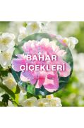 Air Wick Elektrikli Oda Kokusu Yedek Şişe Bahar Çiçekleri - Esansiyel Yağlar Içerir x 2