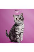 Whiskas Pouch Sos İçinde Sığırlı ve Tavuklu Yetişkin Kedi Konservesi 4 x 85 G x 13 Paket