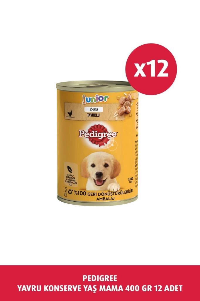 Pedigree Tavuklu Yavru Konserve Köpek Yaş Mama 400 G x12