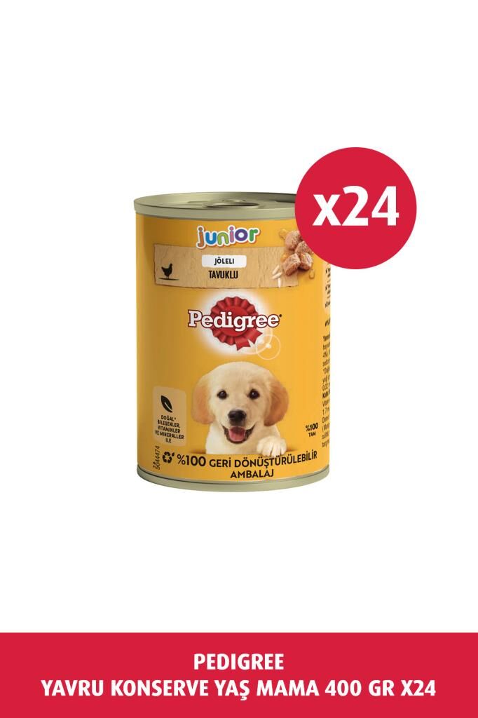 Pedigree Tavuklu Yavru Konserve Köpek Yaş Mama 400 G x24
