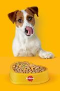 Pedigree Tavuklu Yavru Konserve Köpek Yaş Mama 400 G x24