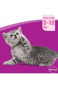 Whiskas Junior Tavuklu Yavru Kedi Maması 300 G x 7