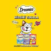 Dreamies Mix Sığır Etli Ve Peynirli Kedi Ödülü 60 gr