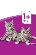 Whiskas Sos Içinde Tavuklu Yetişkin Kedi Konservesi 400 gr x 24