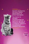 Whiskas Sığırlı Soslu Kedi Konserve 400 gr x 24