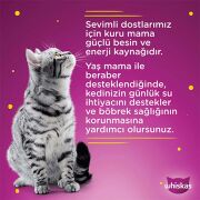 Whiskas Pouch Sos Içinde Somonlu Yetişkin Kedi Konservesi 85 gr