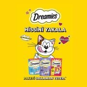 Dreamies Mix Sığır Etli Ve Peynirli Kedi Ödülü 60 gr x 6 Adet
